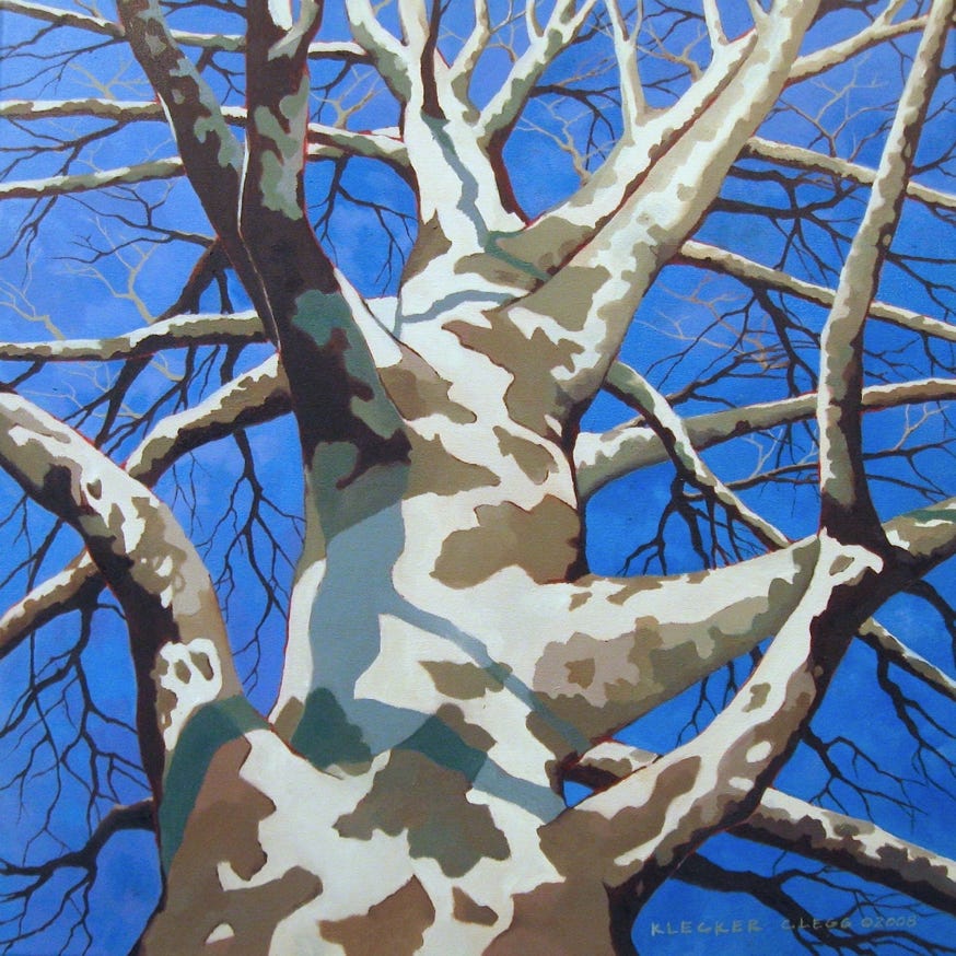 Sycamore oil painting