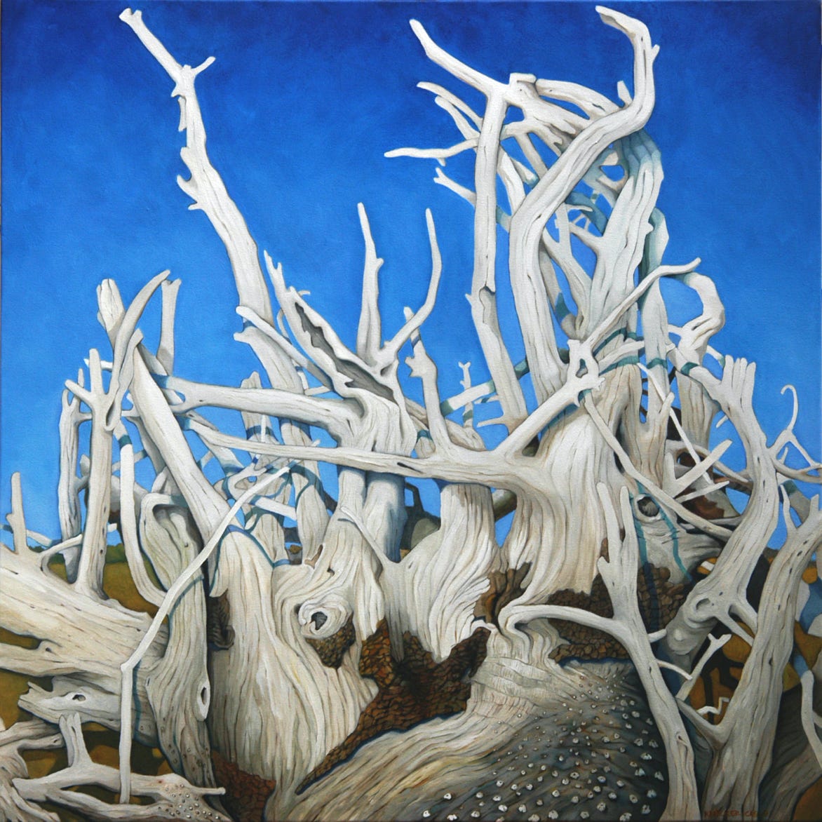 Driftwood, oil painting, South Carolina beach, Hunting Island